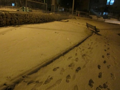 שלג בצפת - צילום חיים זלמנוביץ (2)