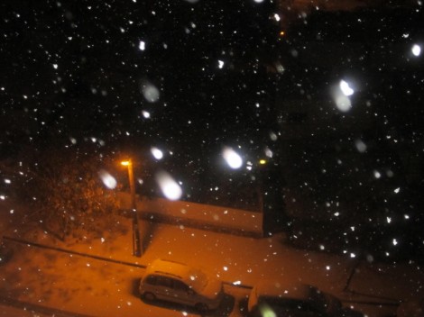 שלג בצפת - צילום חיים זלמנוביץ