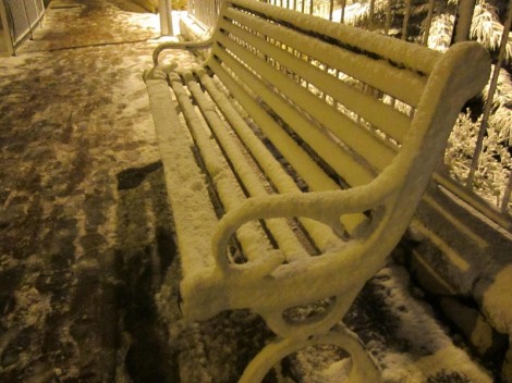 שלג בצפת - צילום חיים זלמנוביץ (9)