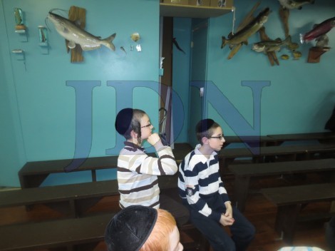 ילדי ת''ת עץ חיים מבורו פארק במוזיאון לחיות טהורות - צילום די וואך (8)