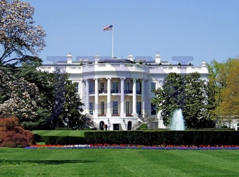 הבית הלבן (ויקיפדיה)