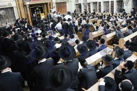 יום השנה להגריש אלישיב זצל בבית הכנסת לדרמן בני ברק - צילום שוקי לרר 05