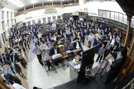 יום השנה להגריש אלישיב זצל בבית הכנסת לדרמן בני ברק - צילום שוקי לרר 10