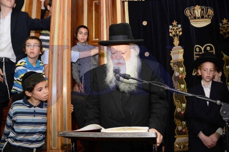 יום השנה להגריש אלישיב זצל בבית הכנסת לדרמן בני ברק - צילום שוקי לרר 35