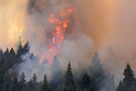 השריפה הגדולה בקליפונרה - צילום AFP  03
