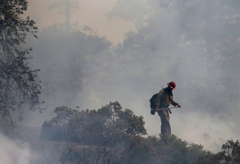 השריפה הגדולה בקליפונרה - צילום AFP  08