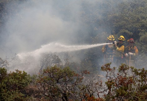 השריפה הגדולה בקליפונרה - צילום AFP  21