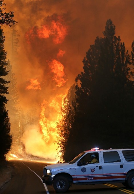 השריפה הגדולה בקליפונרה - צילום AFP  41