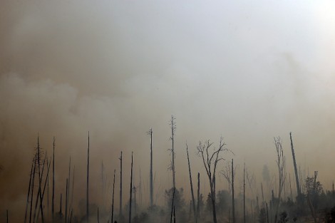 השריפה הגדולה בקליפונרה - צילום AFP  53
