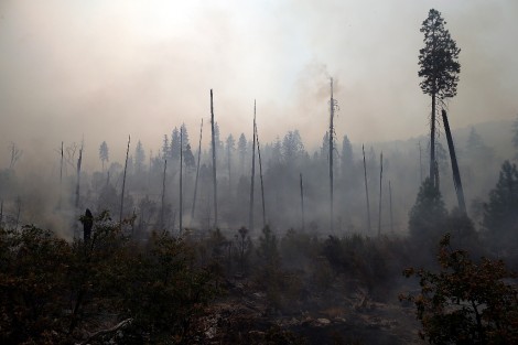 השריפה הגדולה בקליפונרה - צילום AFP  56