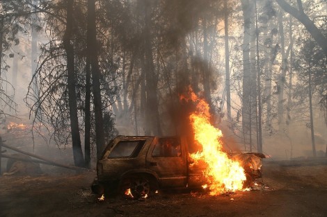השריפה הגדולה בקליפונרה - צילום AFP  57