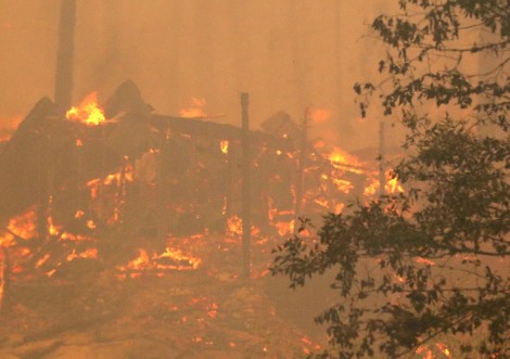 השריפה הגדולה בקליפונרה - צילום AFP  58