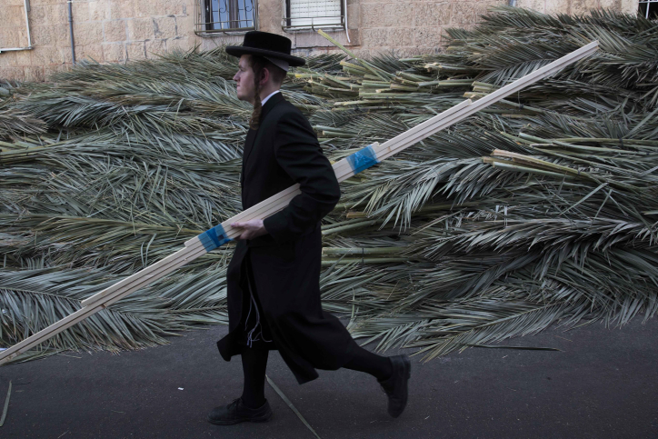 An ultra orthodox man carrying wooden planks walks by palm branches in the streets of Meah Shearim, with which he will build a 'sukka' for the upcoming Jewish holiday of Sukkot. Sukkot commemorates the Israelites 40 years of wandering in the desert and a decorated hut or tabernacle (sukka) is erected outside religious households as a sign of temporary shelter. October 10, 2016. Photo by Nati Shohat/FLASH90 *** Local Caption *** ????? ??? ???? ??? ????? ???