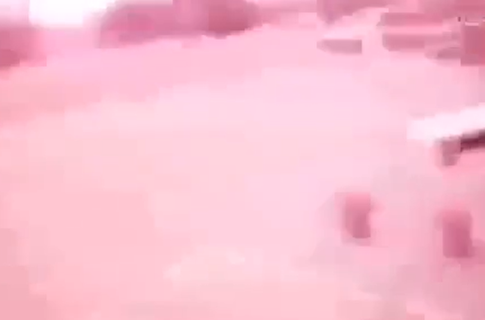‏‏לכידה