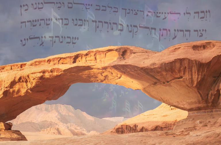 ‏‏לכידה