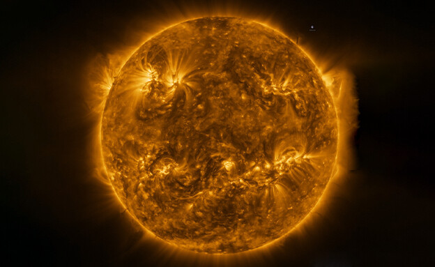 SUN_2803_autoOrient_i