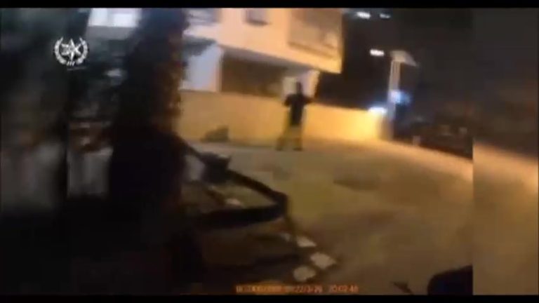 WhatsApp Video 2022-03-30 at 17.57