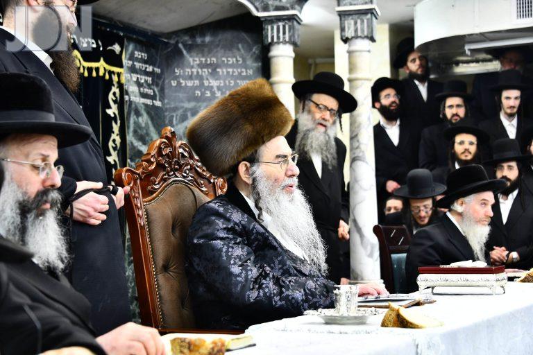 אלכסנדר הילולת האמרי מנחם (16)