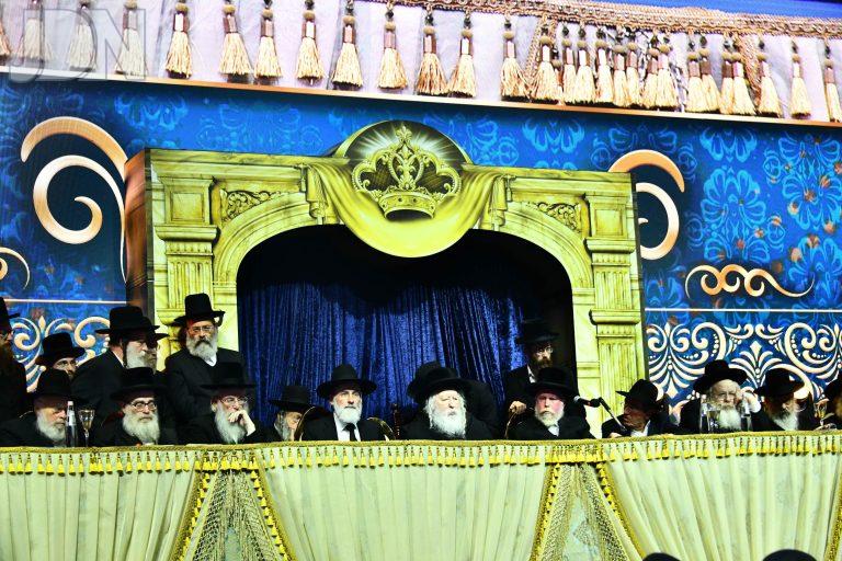 גור מבחן בארנה (43)
