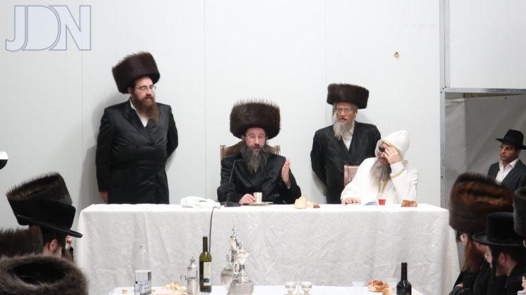 טאלנא משתה היין (3)