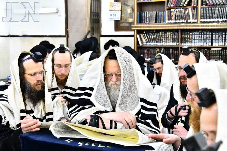 מודז'יץ קריאת המגילה (1)