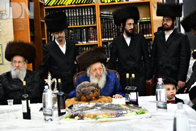 נאראל משתה היין (3)