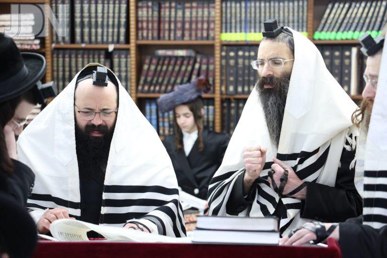סטריקוב קריאת המגילה (6)