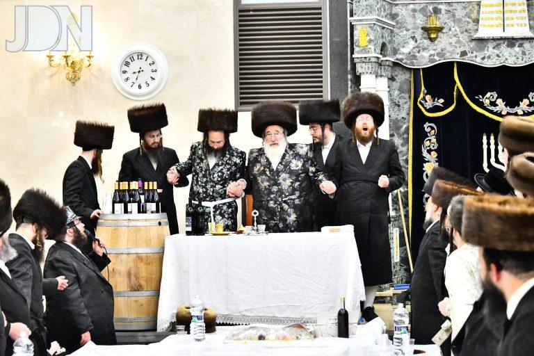 ספינקא משתה היין (12)