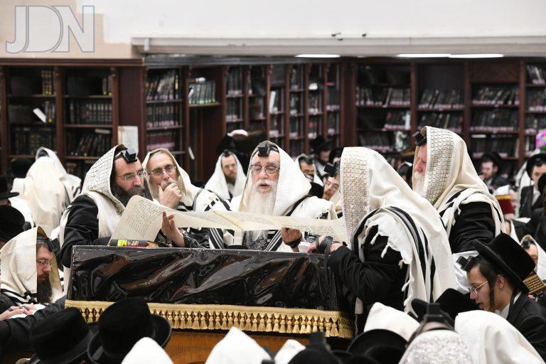 צאנז פורים (11)