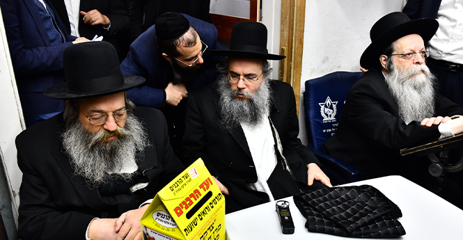 תמונה לכתבה 2 (14)