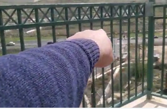 ‏‏לכידה