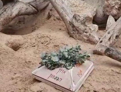 ‏‏לכידה