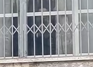 ‏‏לכידה