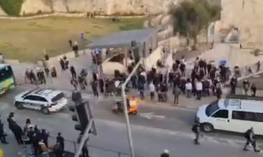 ‏‏לכידה