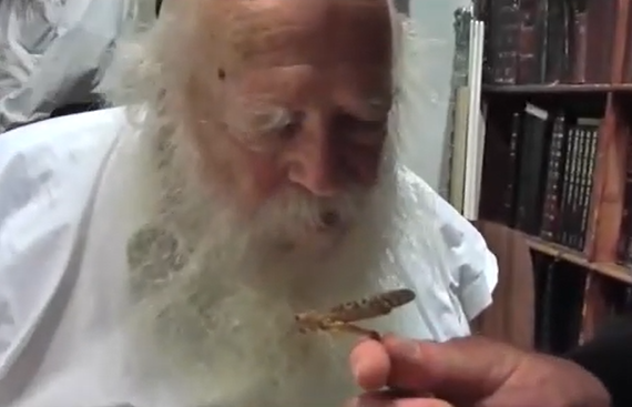 ‏‏לכידה