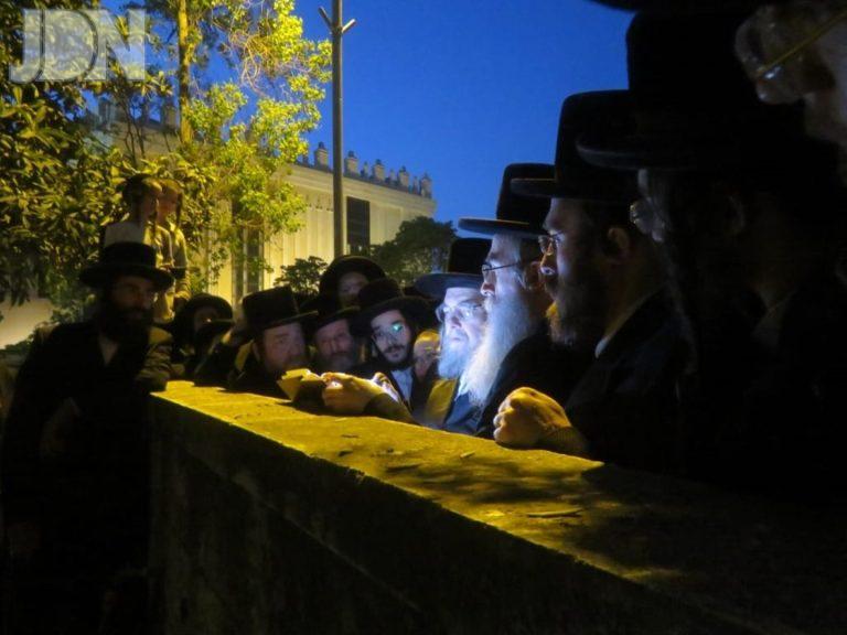 בעלזא ברכת האילנות (8)