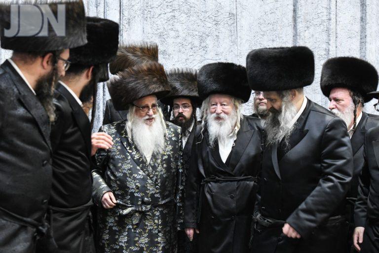 גור צילום משה גולדשטיין (65)