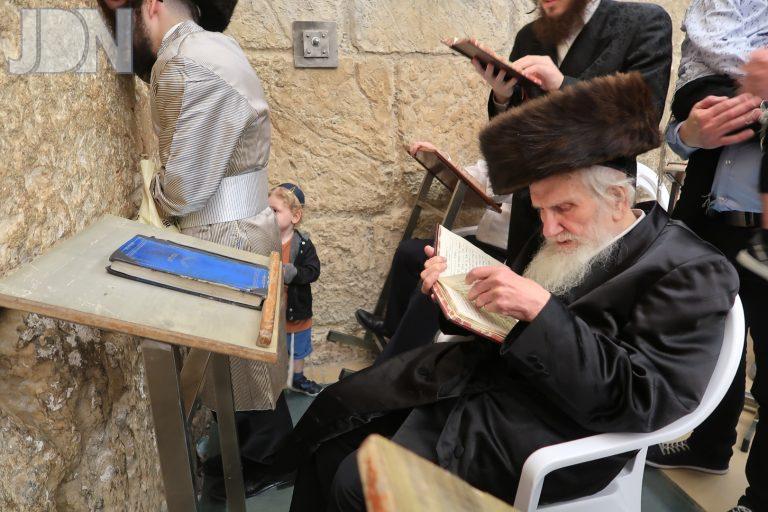 הגר''מ אויערבך בכותל המערבי (3)