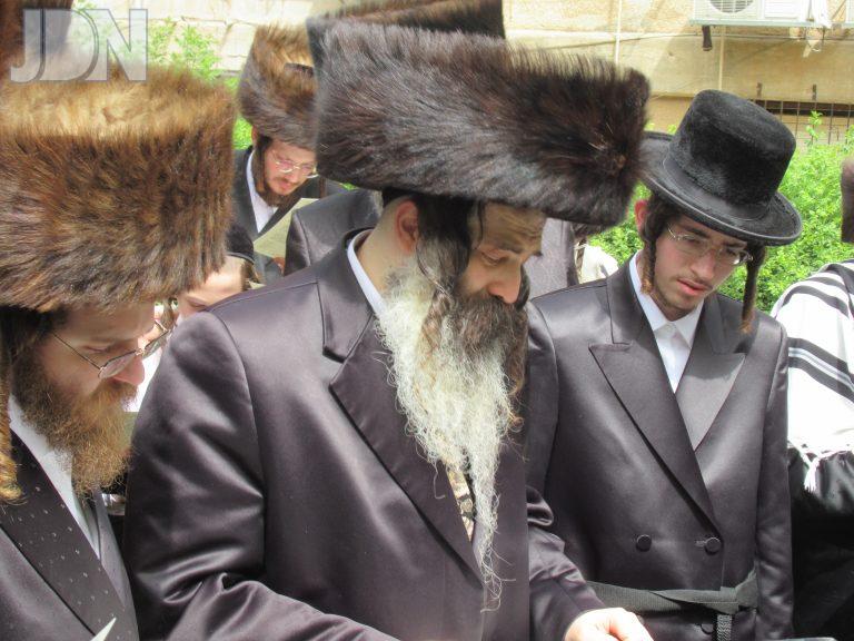 זוטשקא ברכת האילנות (1)