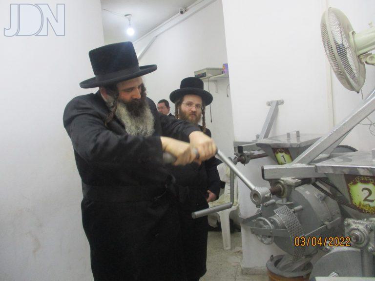 זוטשקא טחינת חיטים (1)