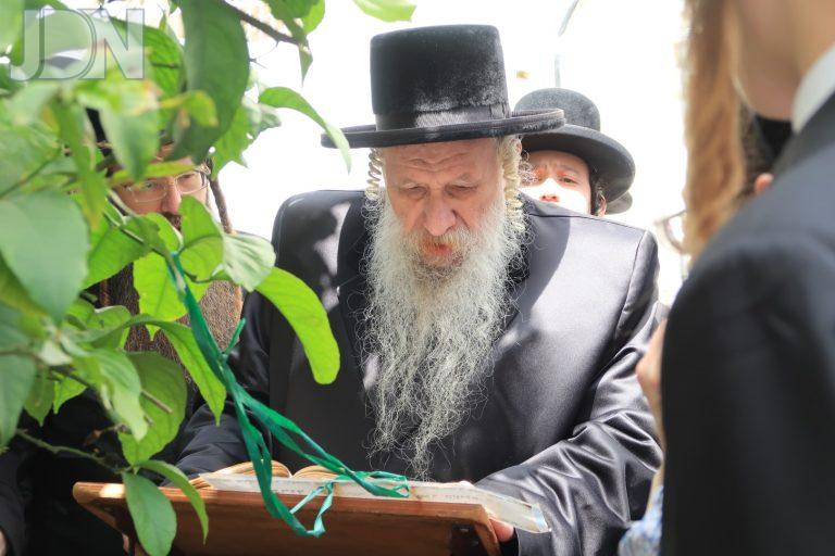 טשארנאביל ברכת האילנות (4)