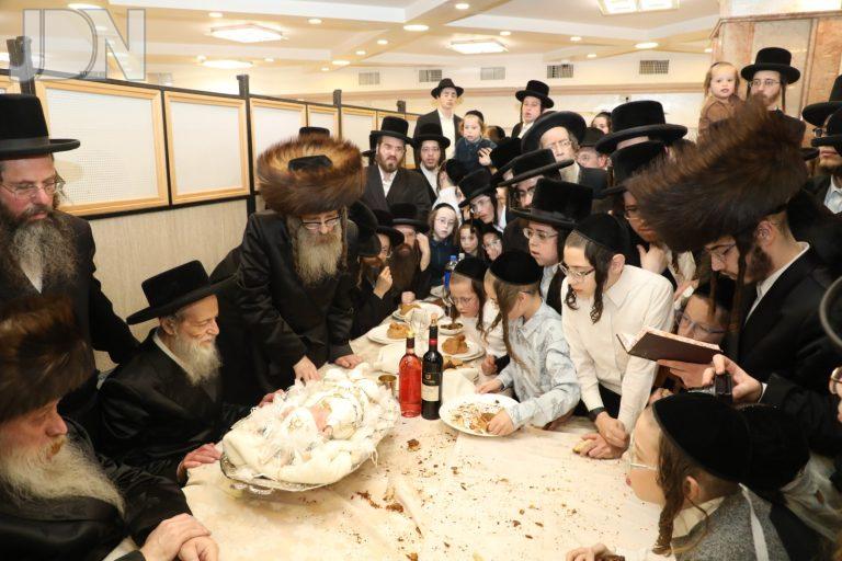 טשארנאביל פדיון הבן (15)