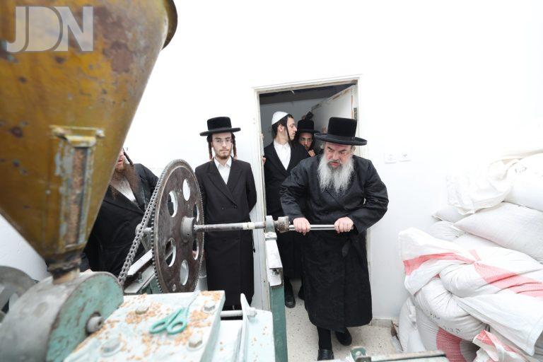 לעלוב טחינת חיטים (9)