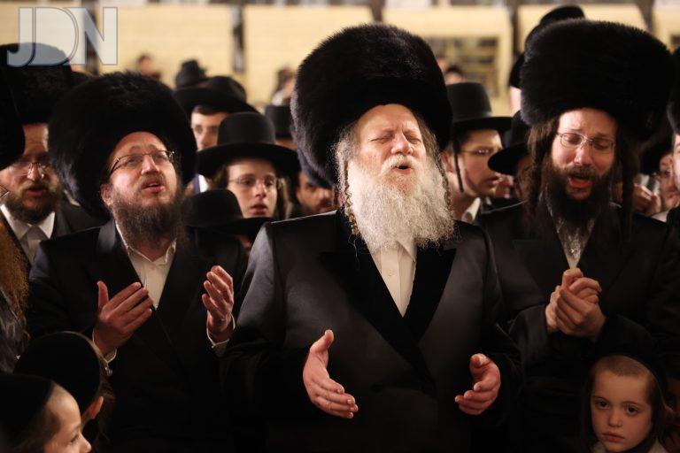 מודז'יץ בכותל המערבי חוהמ''פ (21)