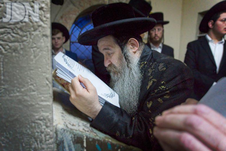 נדבורנה אלעד בעמוקה (1)