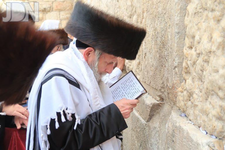 סלאנים בכותל המערבי (6)