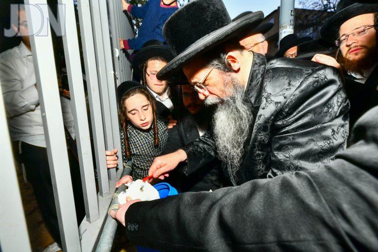 שבט הלוי מים שלנו (2)