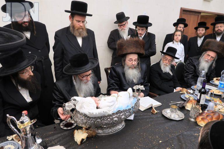תולדות משה פדיון הבן (1)