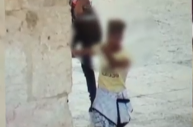 ‏‏לכידה