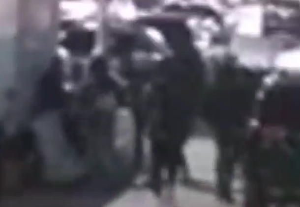 ‏‏לכידה
